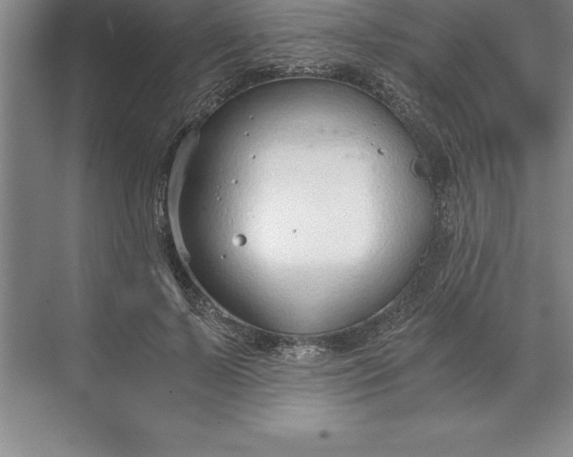 X0000071350695200607071724