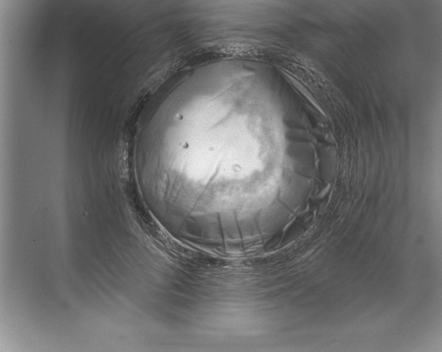 X0000071350696200607071724