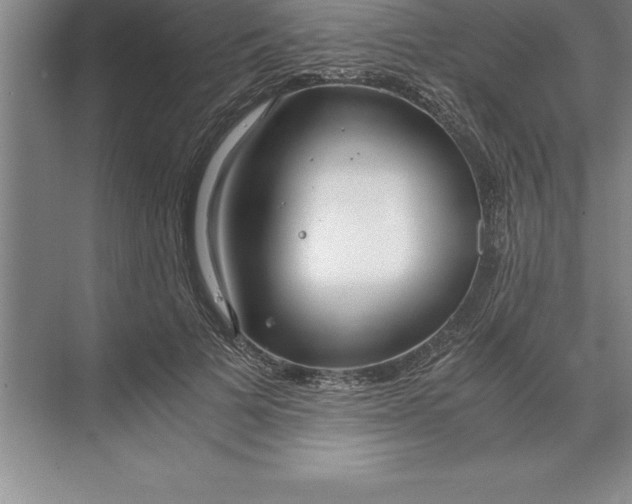 X0000071350697200607071724