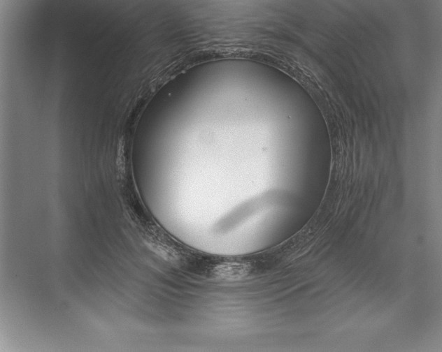 X0000071350700200607071724