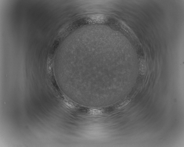 X0000071350701200607071724