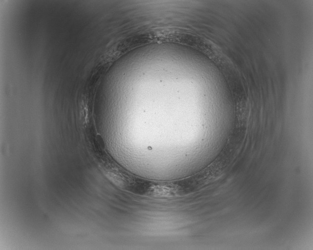 X0000071350703200607071724