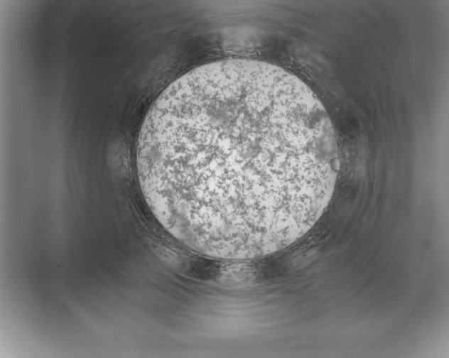 X0000071350705200607071724