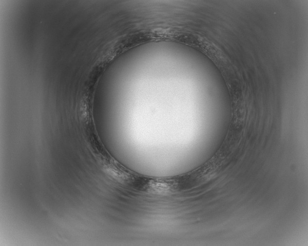 X0000071350706200607071724