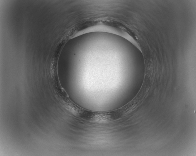 X0000071350708200607071724