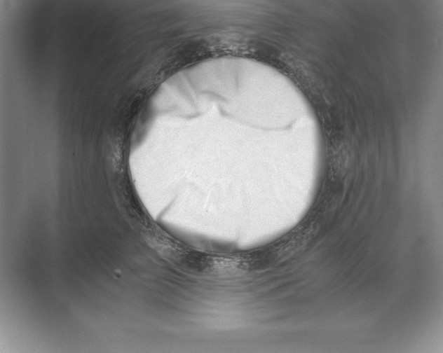 X0000071350709200607071724