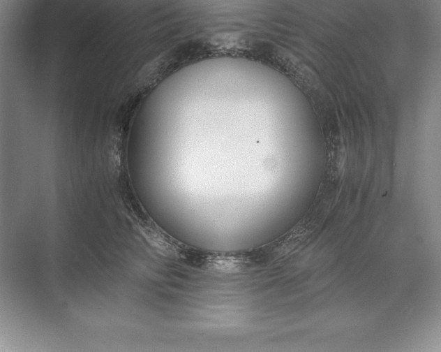 X0000071350710200607071724