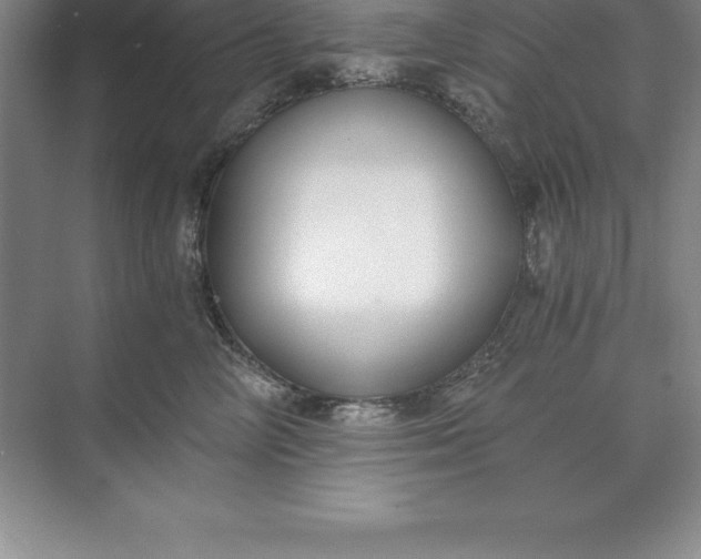 X0000071350714200607071724