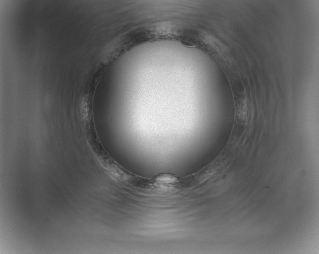 X0000071350715200607071724