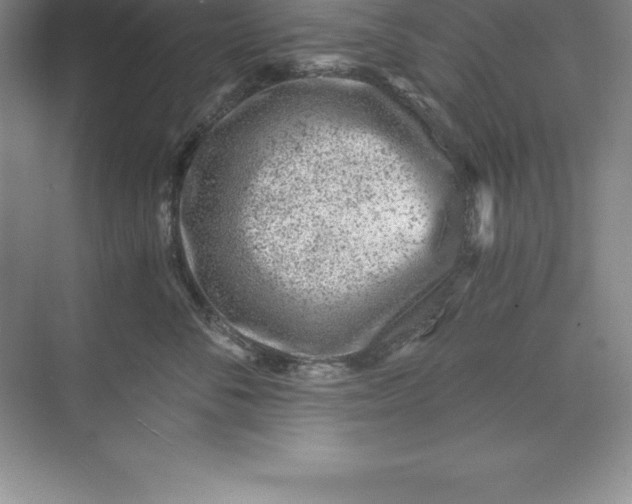 X0000071350716200607071724