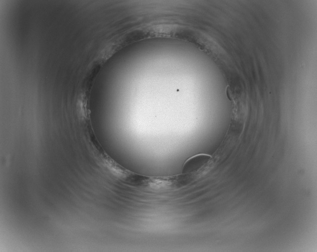 X0000071350718200607071724