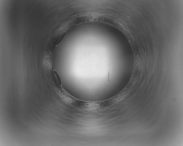 X0000071350719200607071724