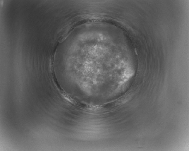 X0000071350720200607071724