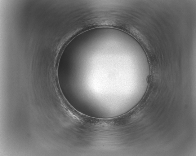 X0000071350721200607071723