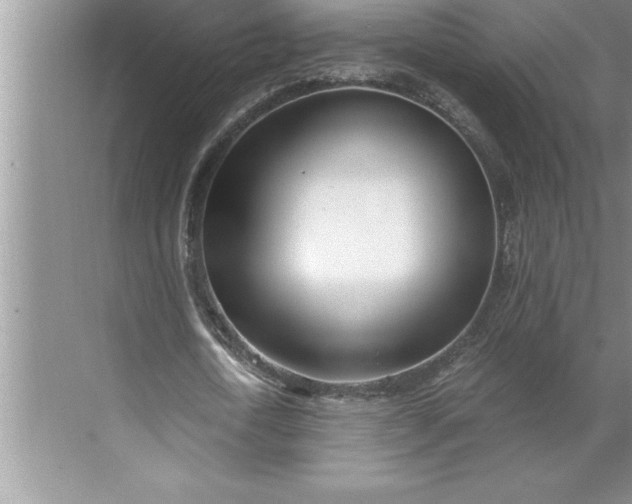 X0000071350722200607071723