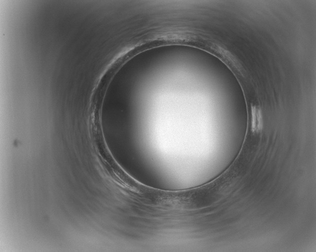 X0000071350723200607071723