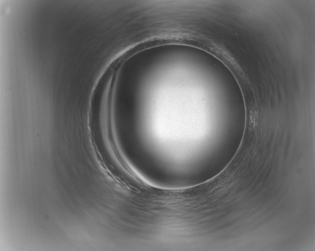 X0000071350724200607071723