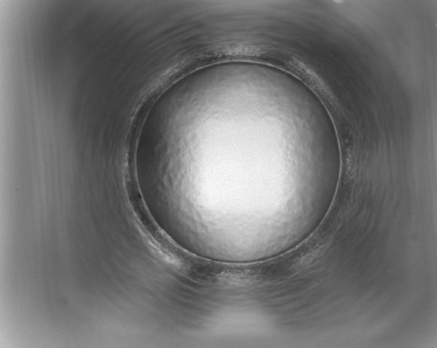 X0000071350725200607071723