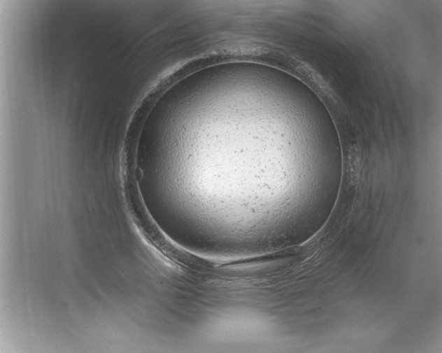 X0000071350726200607071723