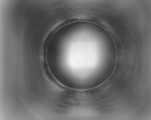 X0000071350727200607071723