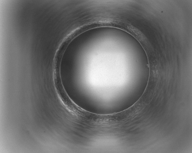 X0000071350728200607071723