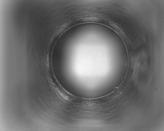 X0000071350729200607071723