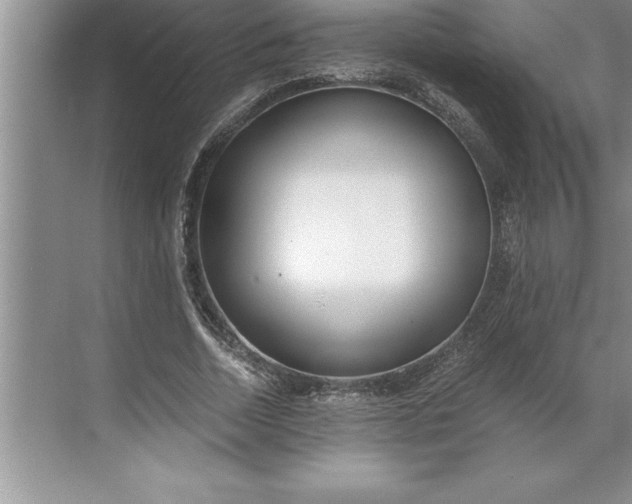 X0000071350730200607071723