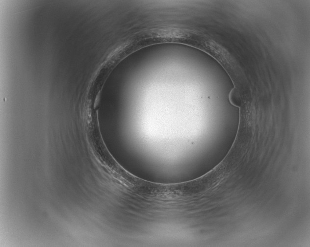 X0000071350731200607071723