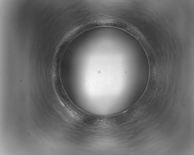 X0000071350732200607071723