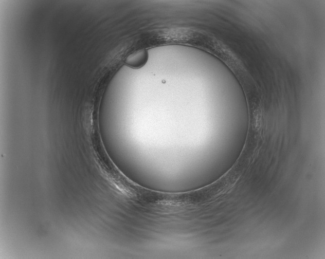 X0000071350733200607071723