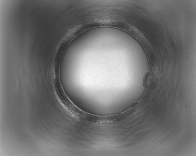 X0000071350734200607071723