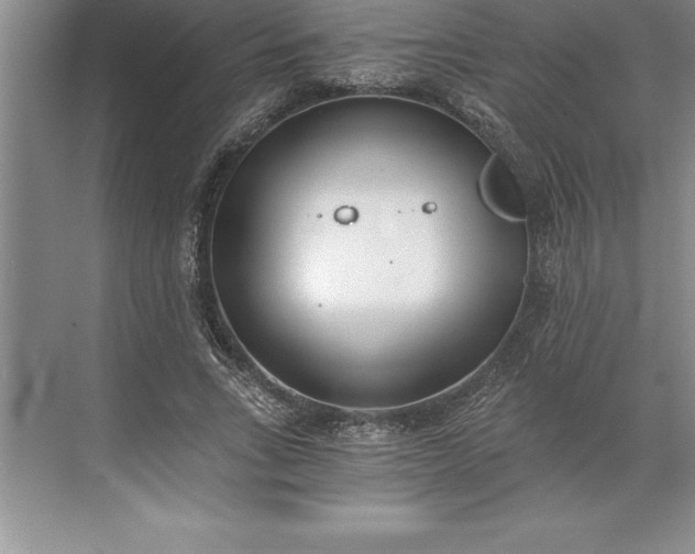 X0000071350735200607071723