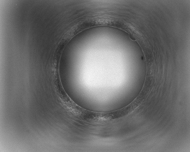 X0000071350737200607071723