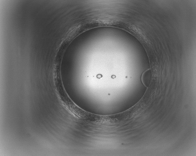 X0000071350738200607071723