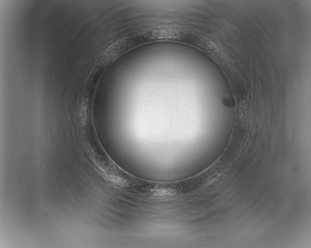 X0000071350741200607071723