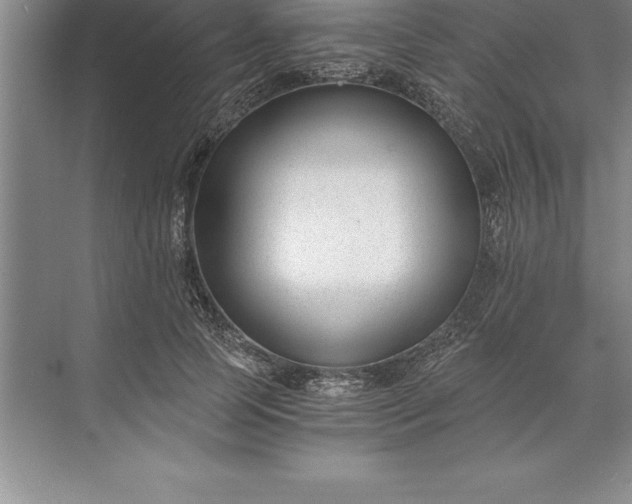 X0000071350745200607071723