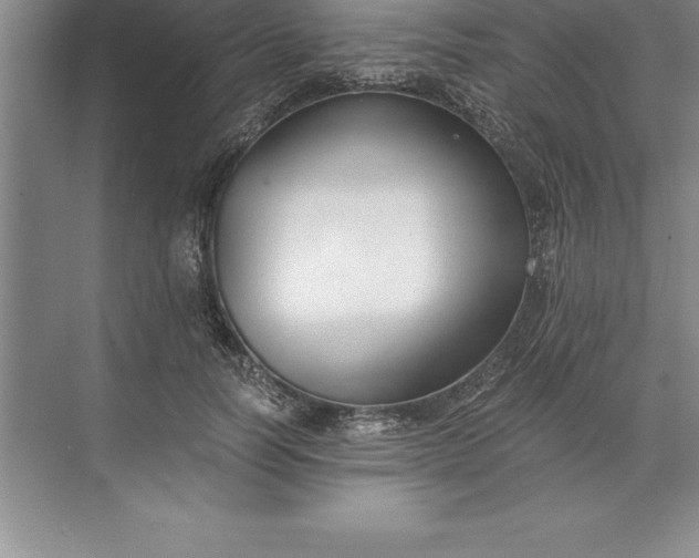 X0000071350746200607071723