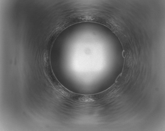 X0000071350747200607071724