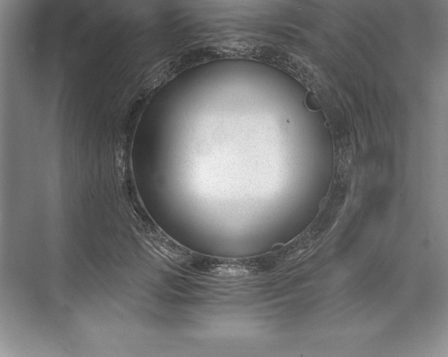 X0000071350749200607071724