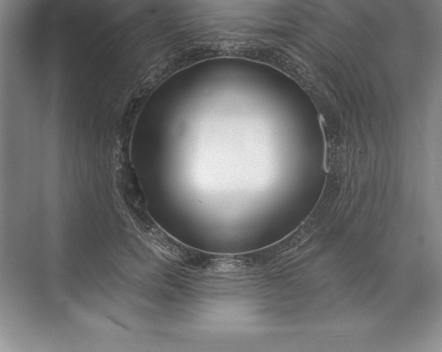 X0000071350750200607071724