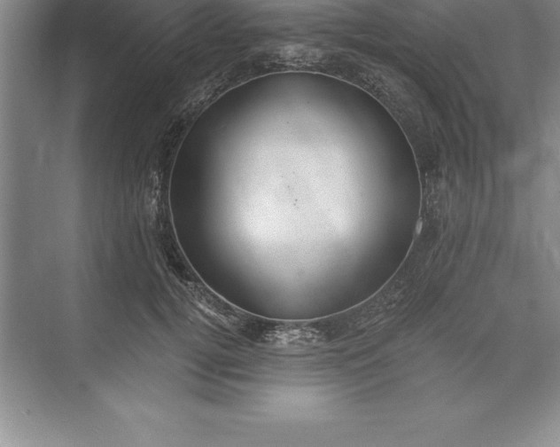 X0000071350752200607071724