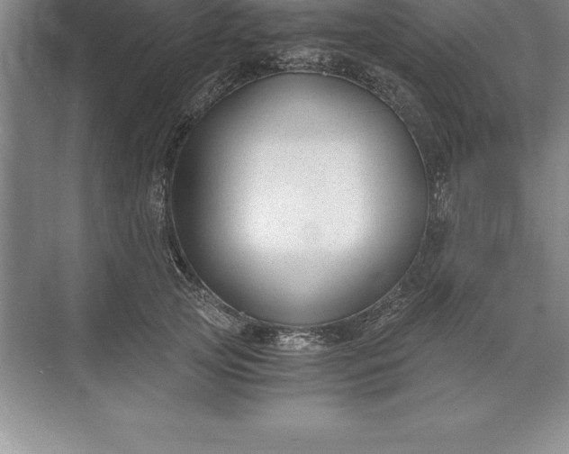 X0000071350753200607071724