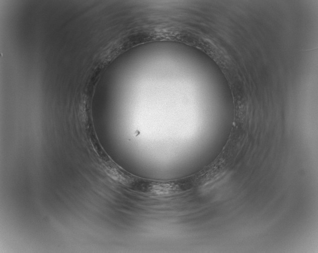 X0000071350757200607071724