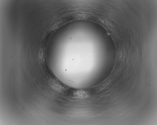 X0000071350759200607071724