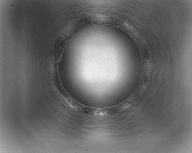 X0000071350760200607071724