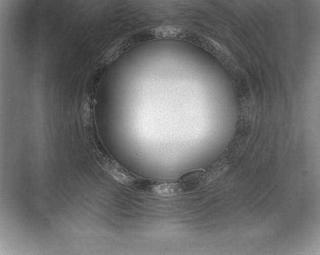 X0000071350761200607071724