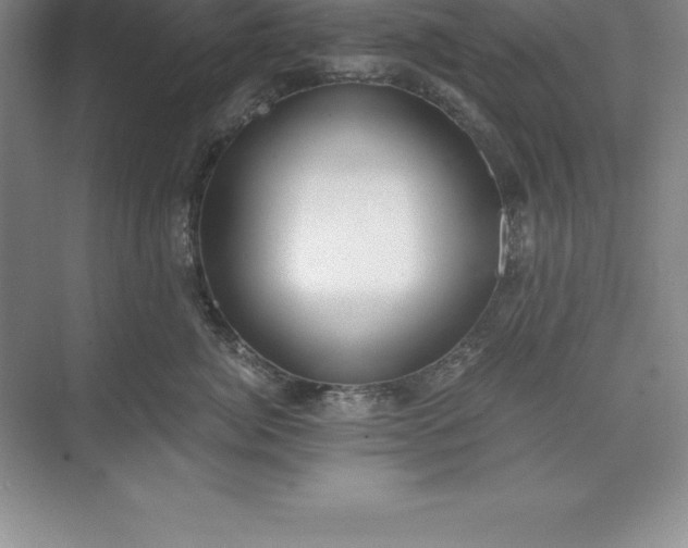 X0000071350764200607071724