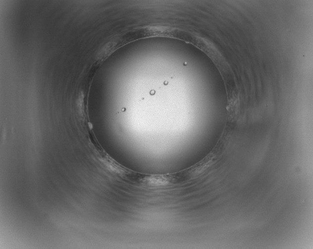 X0000071350765200607071724