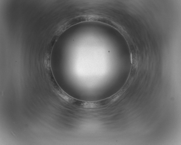 X0000071350766200607071724