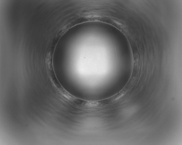 X0000071350767200607071724